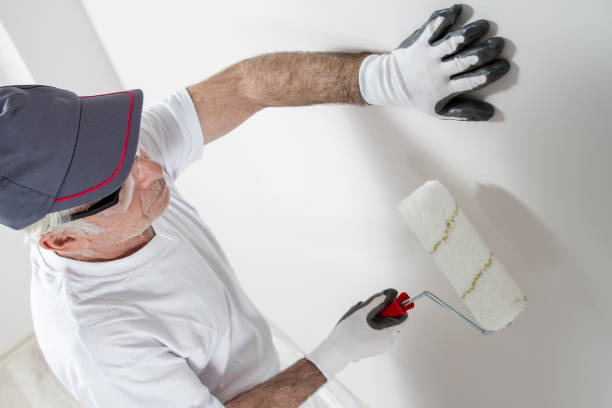 Best Real Estate Mold Inspection  in Springville, VA