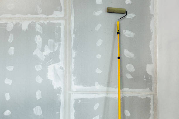 Best Attic Mold Removal  in Springville, VA