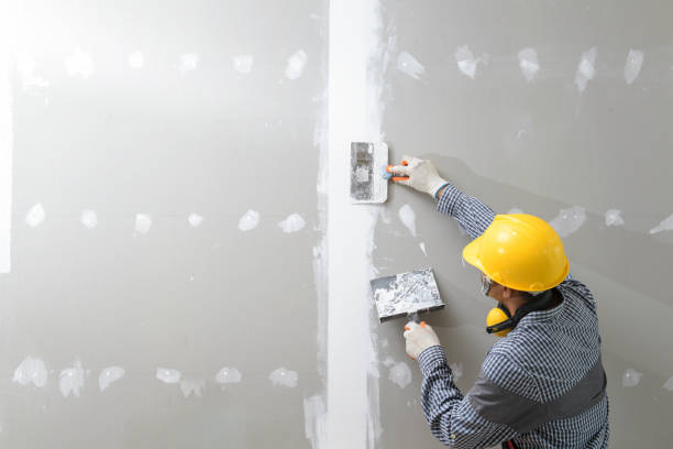 Best Mold Prevention Services  in Springville, VA