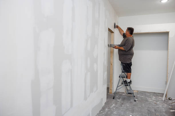 Best Mold-Related Health Consultation  in Springville, VA