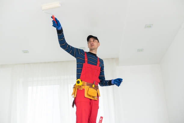 Mold Remediation for Vacation Homes in Springville, VA